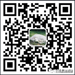 上海长途汽车客运总站怎么坐车_上海总站汽车票_上海长途汽车总站在哪