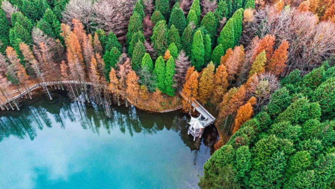 余姚丹山赤水景区特色民宿_余姚丹山赤水景区门票优惠_余姚丹山赤水自助烧烤