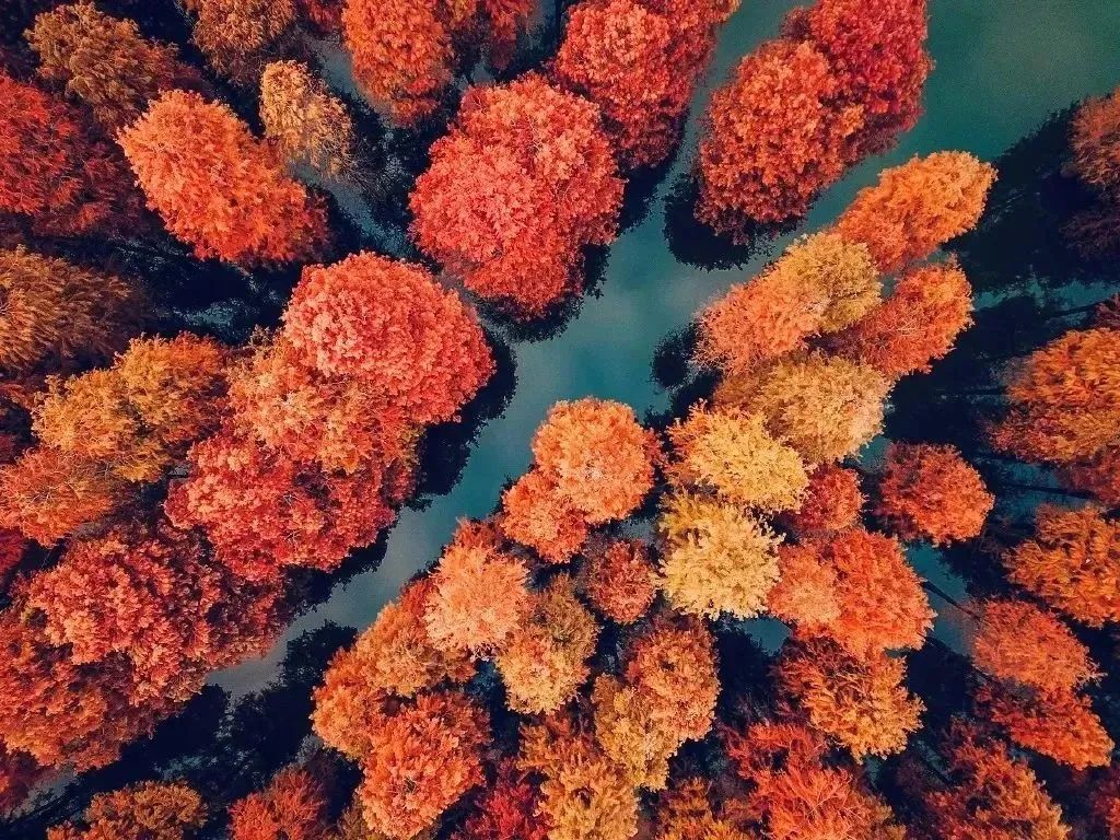 余姚丹山赤水自助烧烤_余姚丹山赤水景区特色民宿_余姚丹山赤水景区门票优惠