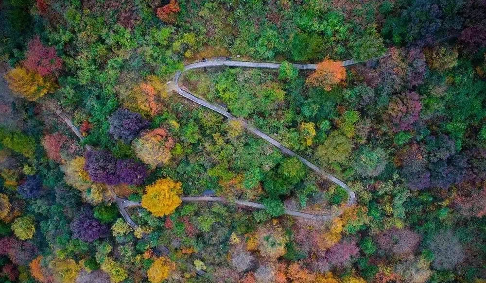 余姚丹山赤水自助烧烤_余姚丹山赤水景区门票优惠_余姚丹山赤水景区特色民宿