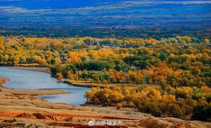 新疆“海鲜”迎来大丰收,哪些美食诞生地突破你想象?(图1) 图片