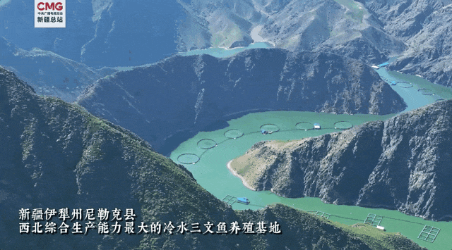 新疆“海鲜”迎来大丰收,哪些美食诞生地突破你想象?(图11) 图片