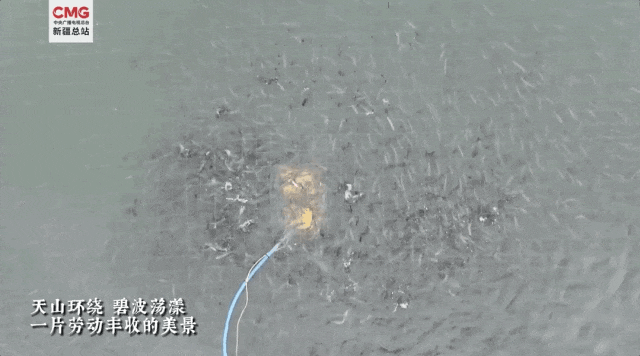 新疆“海鲜”迎来大丰收,哪些美食诞生地突破你想象?(图12) 图片