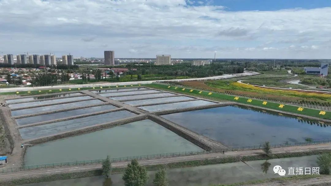 新疆“海鲜”迎来大丰收,哪些美食诞生地突破你想象?(图5) 图片