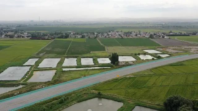 新疆“海鲜”迎来大丰收,哪些美食诞生地突破你想象?(图10) 图片