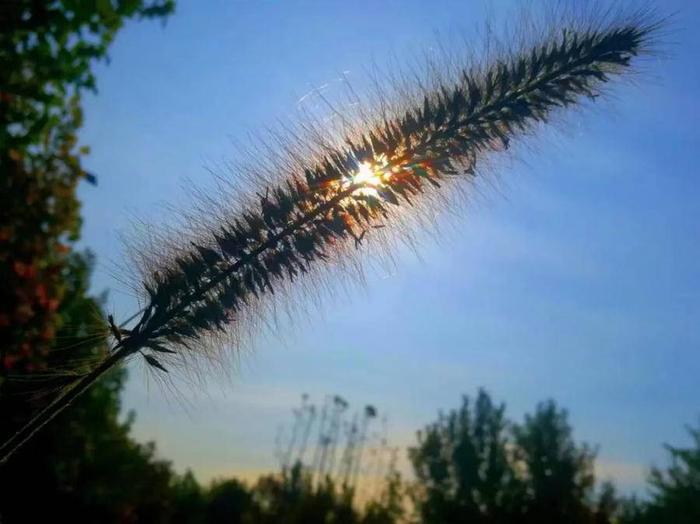 创意美好生活让我们成长_创意美好生活作文_创意让生活更美好