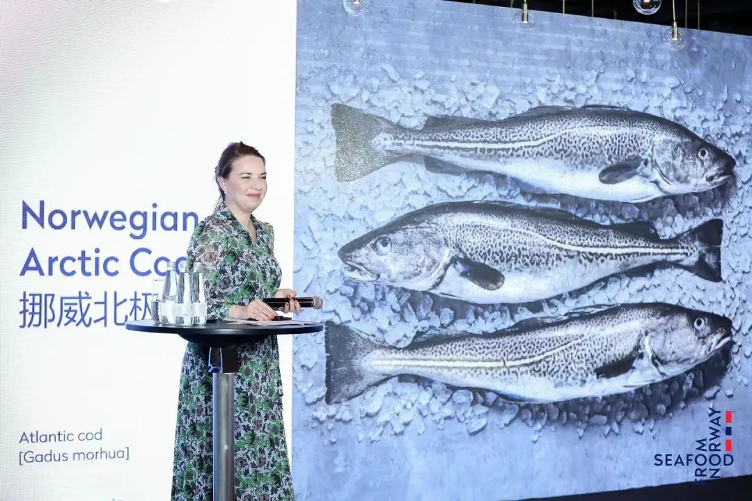 挪威美食介绍PPT_挪威美食介绍_挪威美食介绍视频