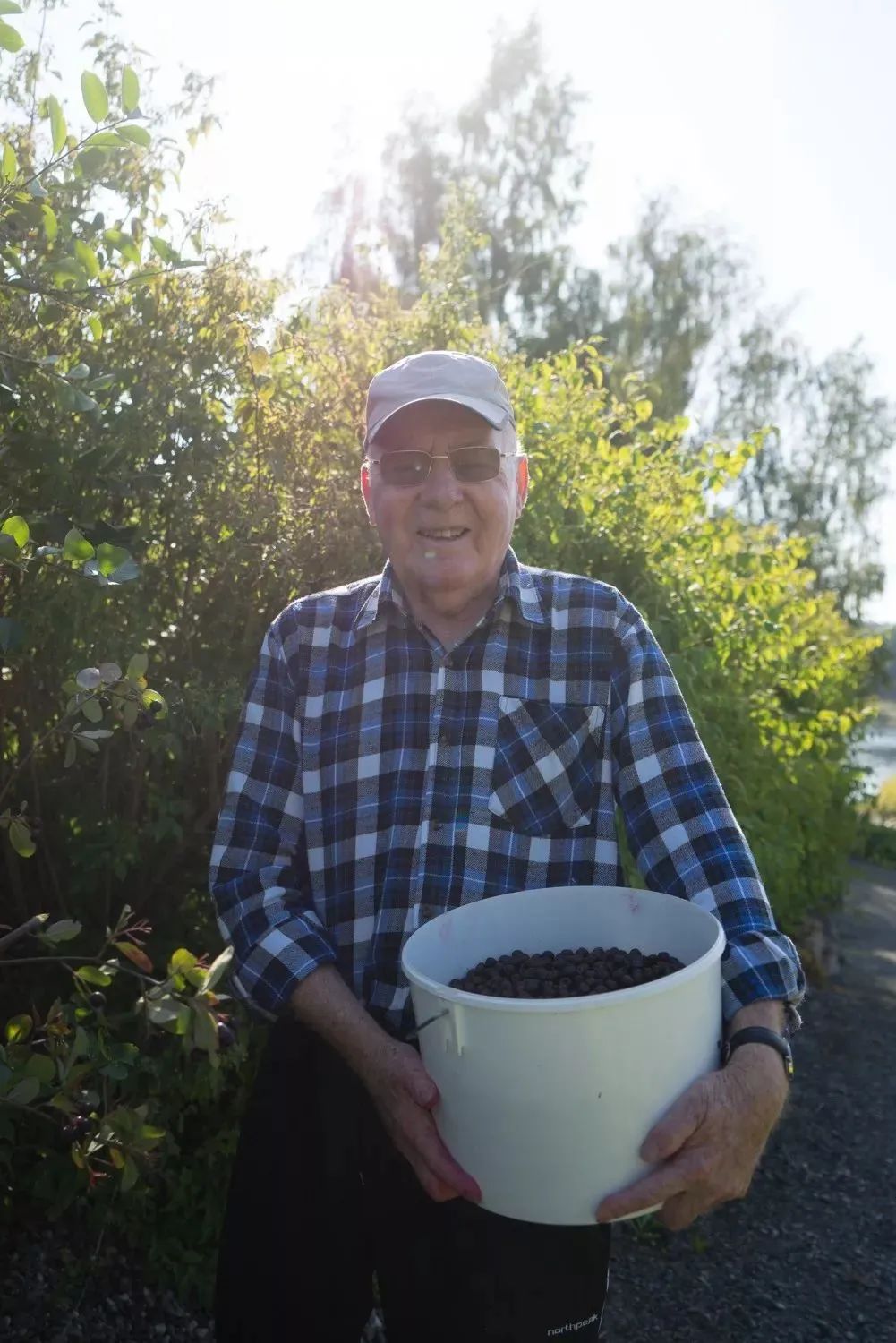 挪威美食介绍_挪威的美食_挪威美食介绍视频