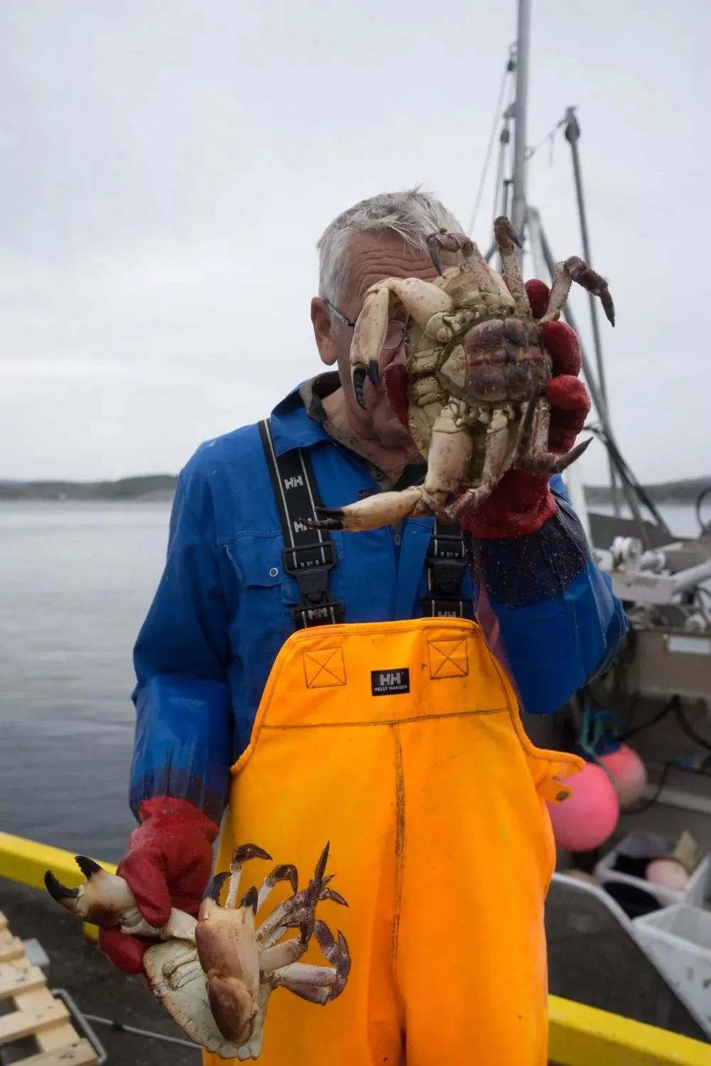 挪威美食介绍_挪威的美食_挪威美食介绍视频