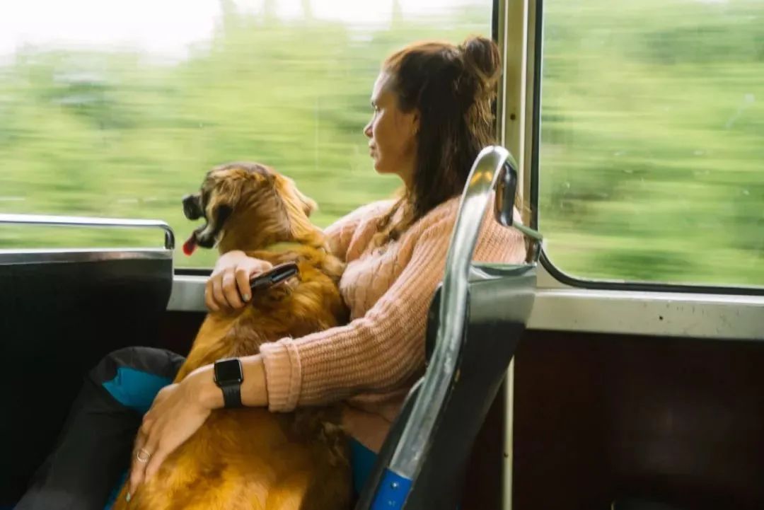 挪威的美食_挪威美食介绍视频_挪威美食介绍