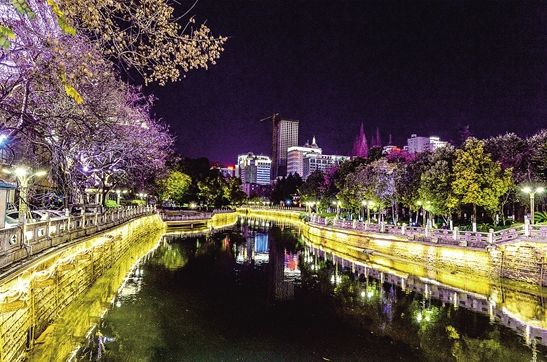 昆明老街新春庙会_昆明大观楼夜景收费吗_昆明鲜花年货市场