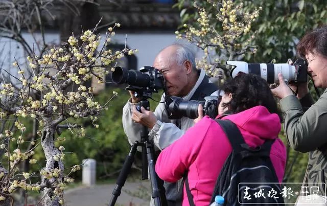 昆明鲜花年货市场_昆明老街新春庙会_昆明大观楼夜景收费吗