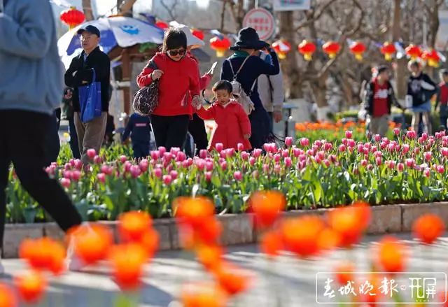 昆明老街新春庙会_昆明大观楼夜景收费吗_昆明鲜花年货市场