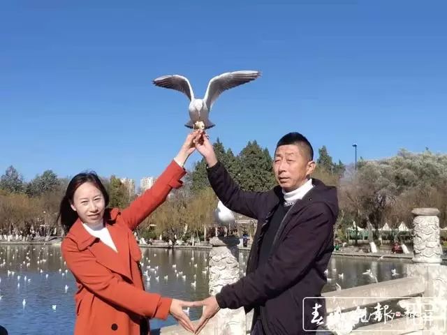 昆明老街新春庙会_昆明鲜花年货市场_昆明大观楼夜景收费吗