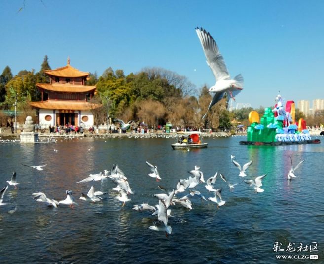 昆明鲜花年货市场_昆明老街新春庙会_昆明大观楼夜景收费吗
