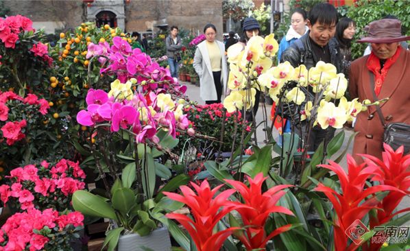 昆明大观楼夜景收费吗_昆明老街新春庙会_昆明鲜花年货市场