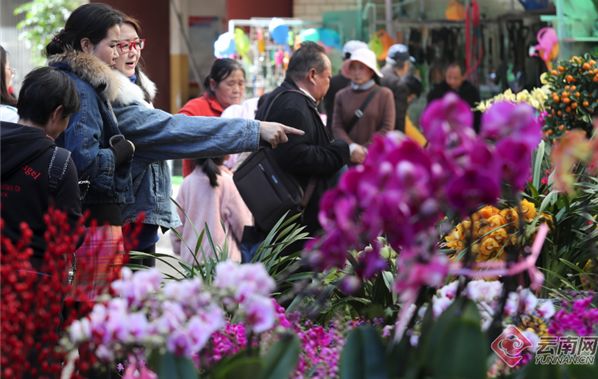 昆明鲜花年货市场_昆明老街新春庙会_昆明大观楼夜景收费吗