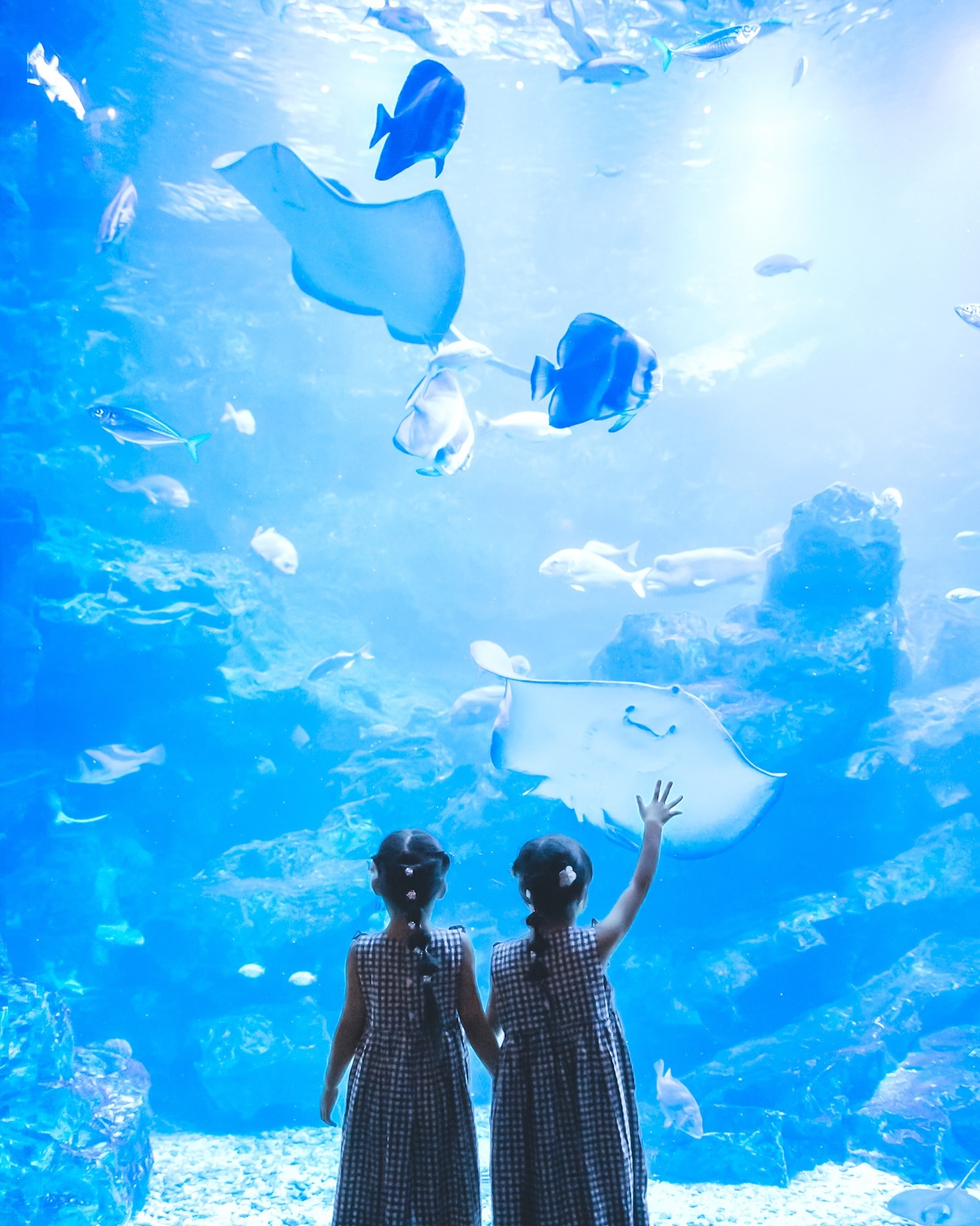 京都清水寺附近美食_京都车站一日游_京都车站购物攻略