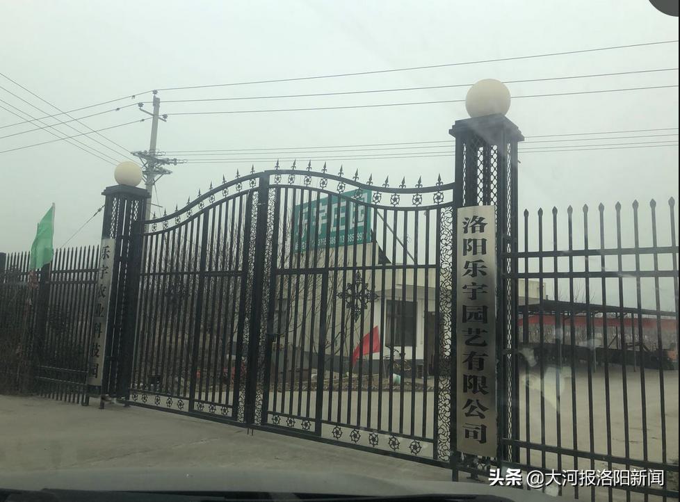 17.8万元享200平方米庭院?孟津一农庄林业用地上“种”出小木屋(图2) 洛阳平乐镇庭院别墅购买_洛阳小产权的房子出售_洛阳乐宇农庄小木屋价格