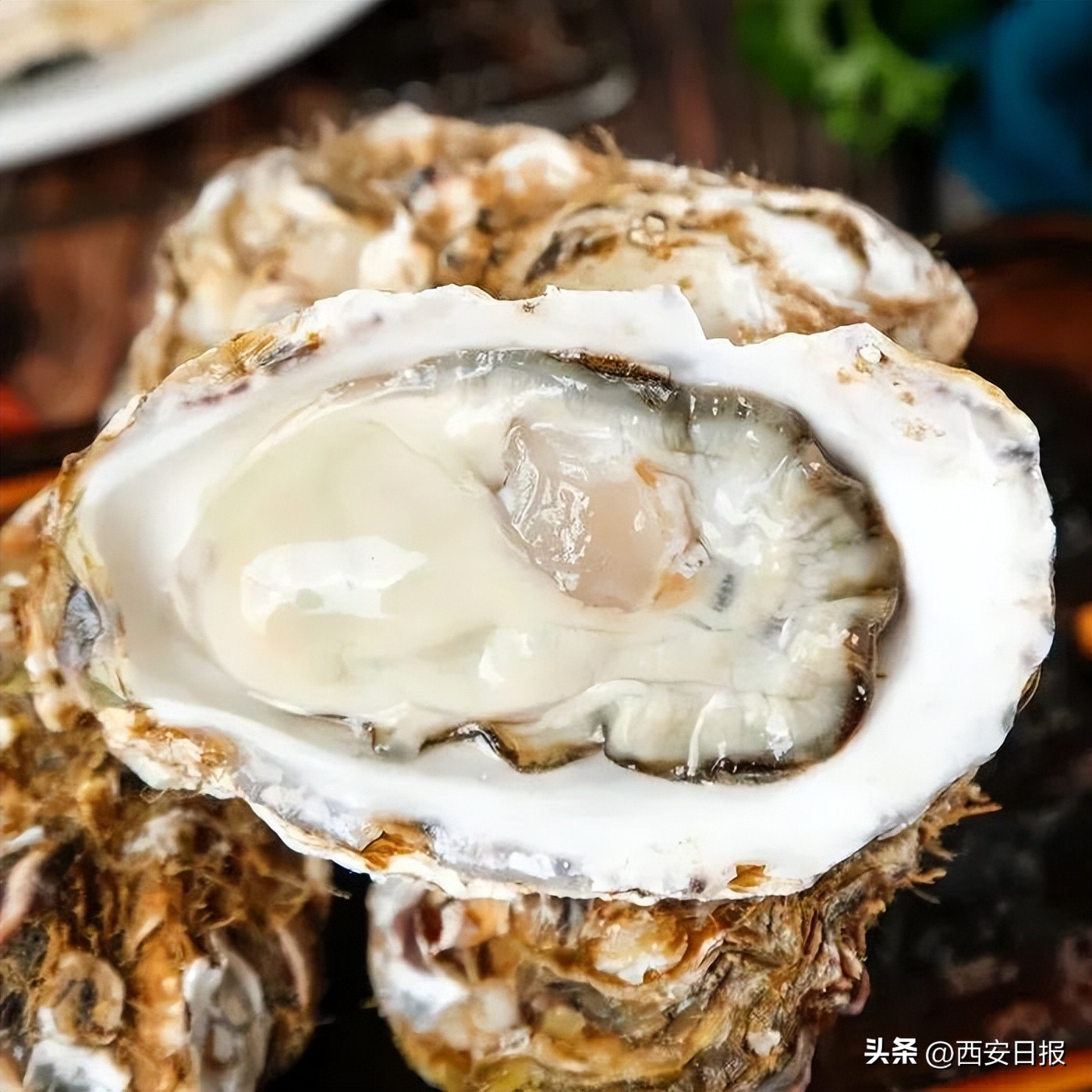 大连冬日旅游_大连三宝海鲜坊_北纬39°海鲜美食