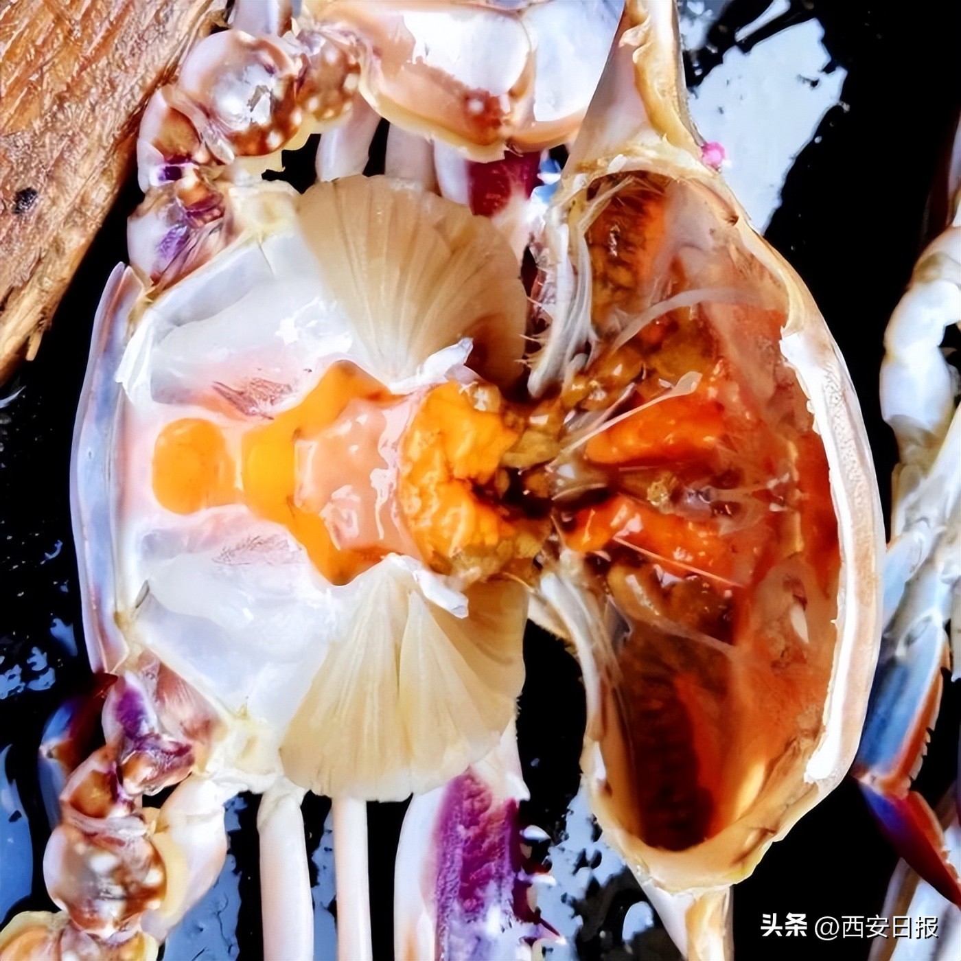 北纬39°海鲜美食_大连冬日旅游_大连三宝海鲜坊