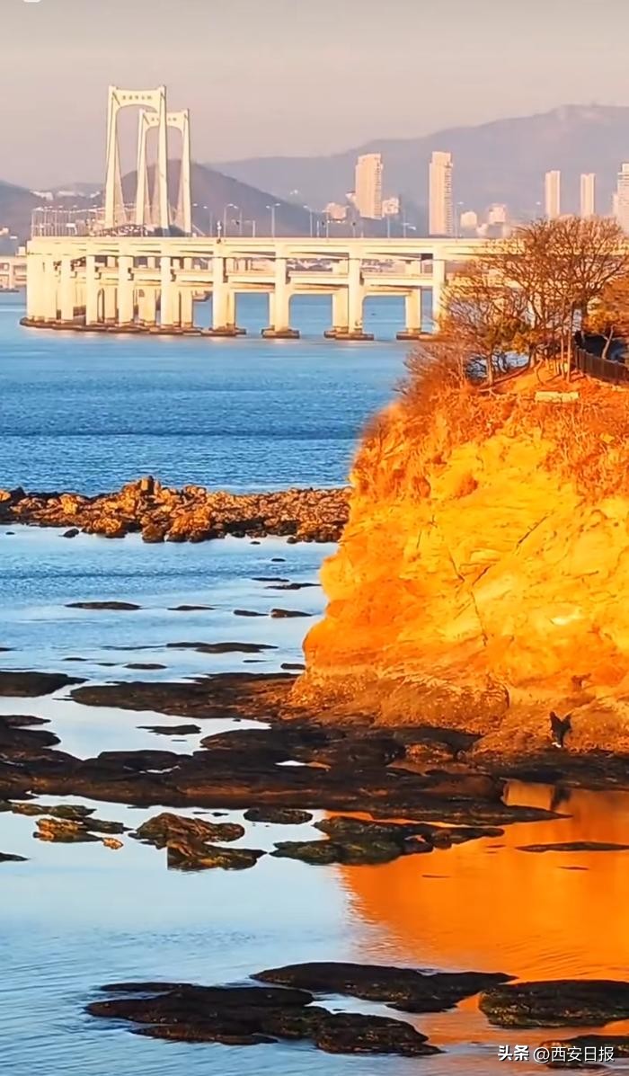 大连三宝海鲜坊_北纬39°海鲜美食_大连冬日旅游