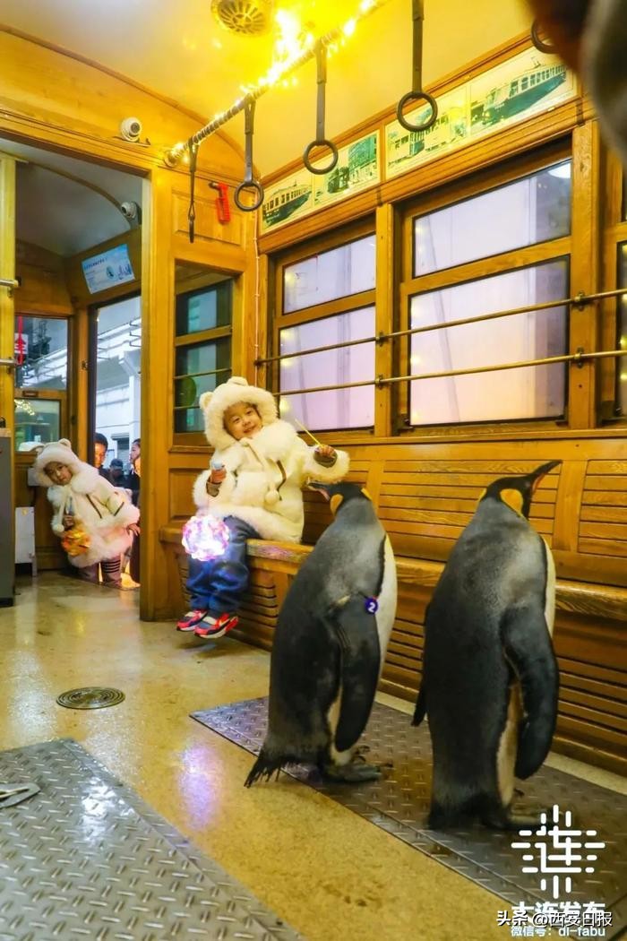 大连冬日旅游_大连三宝海鲜坊_北纬39°海鲜美食