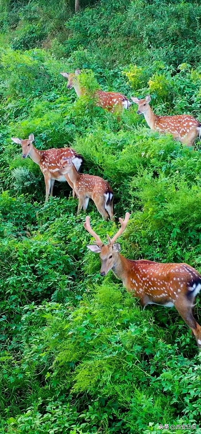 北纬39°海鲜美食_大连三宝海鲜坊_大连冬日旅游