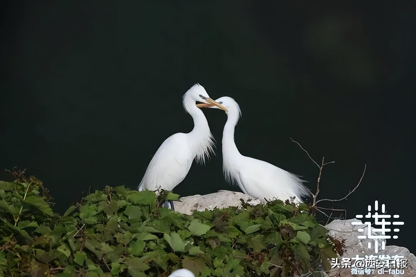 大连冬日旅游_大连三宝海鲜坊_北纬39°海鲜美食