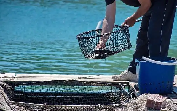 舟山休渔期没有海鲜吃_ 伏季休渔期海鲜供应 _