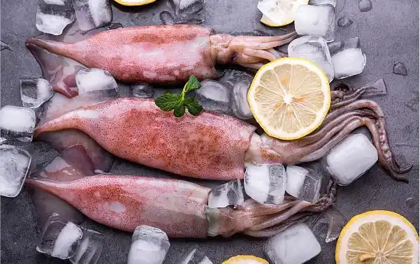  伏季休渔期海鲜供应 _舟山休渔期没有海鲜吃_