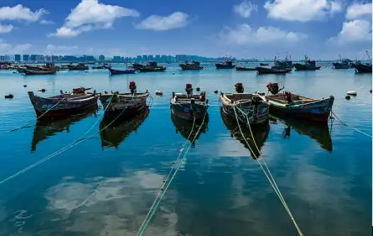  伏季休渔期海鲜供应 __舟山休渔期没有海鲜吃