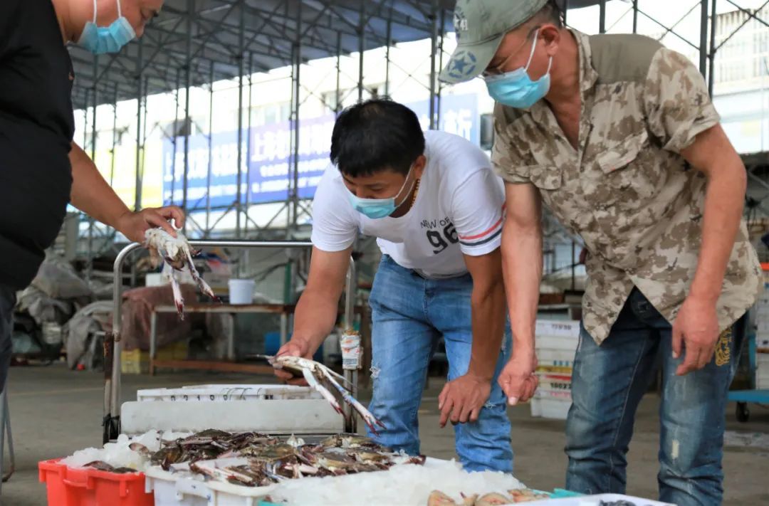 东海梭子蟹价格_嘉定梭子蟹批发市场_舟山休渔期没有海鲜吃