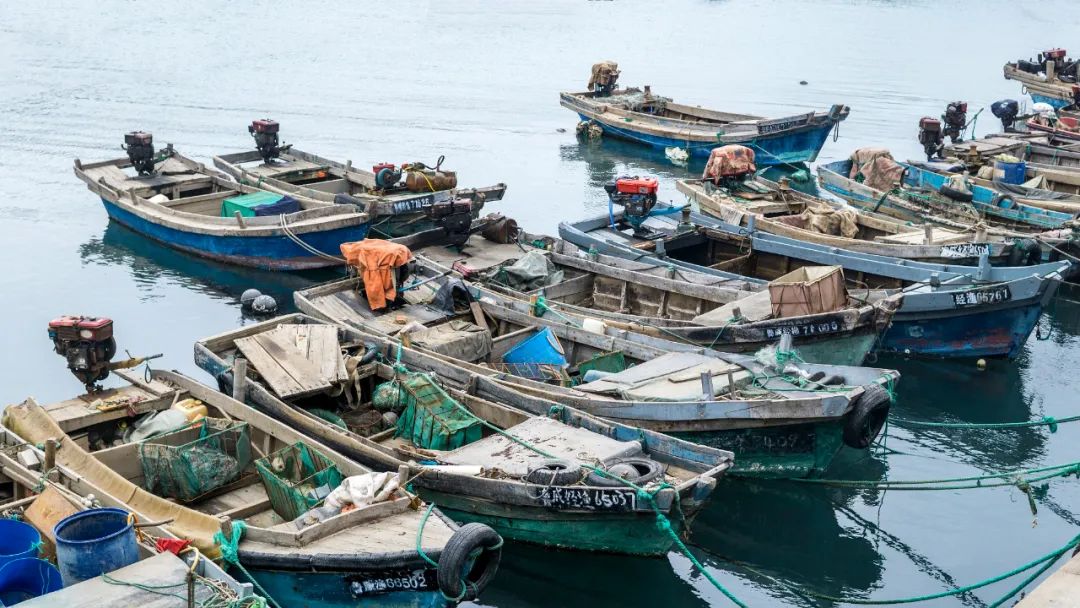 浙江休渔期海鲜禁售_舟山休渔期没有海鲜吃_钱塘江禁渔期