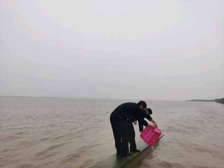 浙江休渔期海鲜禁售_舟山休渔期没有海鲜吃_钱塘江禁渔期