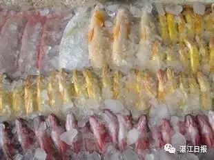 南海伏季休渔期海鲜替代品_休渔期海鲜推荐_舟山休渔期没有海鲜吃