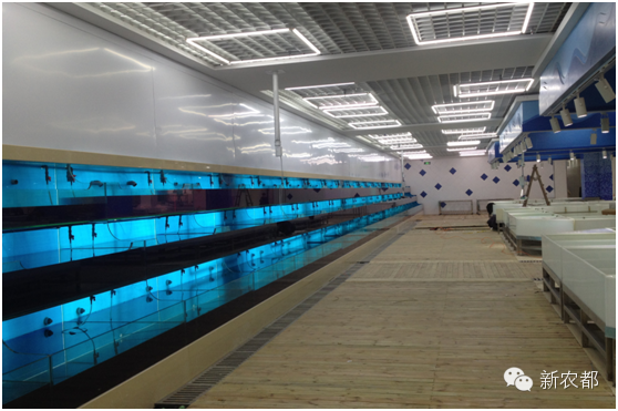 大型批发零售超市_萧山农都海鲜批发市场_浙江农发超市