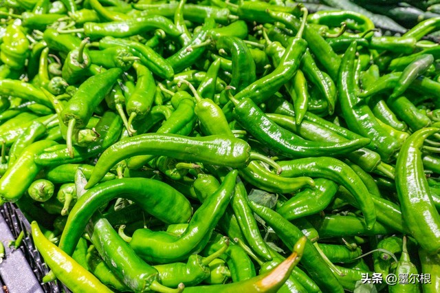 山东青州蔬菜市场价格分析_辣椒类价格下跌_黄瓜的产地和价钱