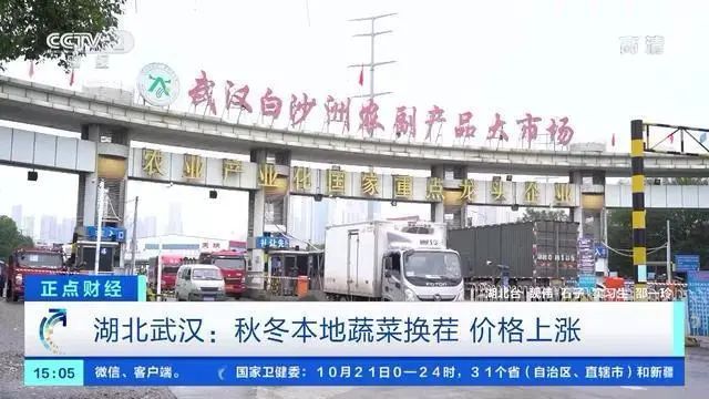 湖北蔬菜价格涨幅_黄瓜的产地和价钱_沈阳蔬菜价格上涨