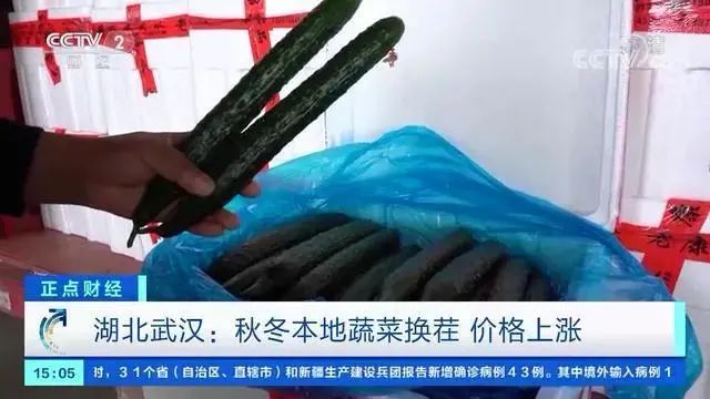 沈阳蔬菜价格上涨_湖北蔬菜价格涨幅_黄瓜的产地和价钱