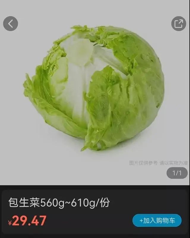 黄瓜的产地和价钱_沈阳蔬菜价格上涨_湖北蔬菜价格涨幅