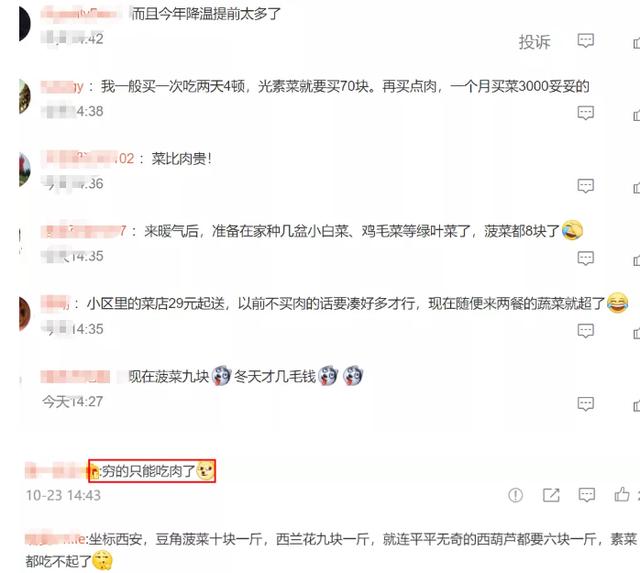 沈阳蔬菜价格上涨_湖北蔬菜价格涨幅_黄瓜的产地和价钱