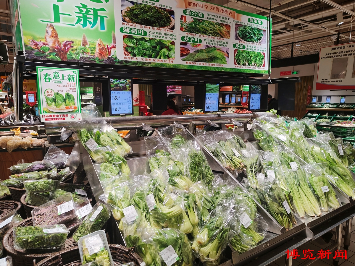 淄博蔬菜价格走势_蔬菜价格下降原因分析_黄瓜的产地和价钱