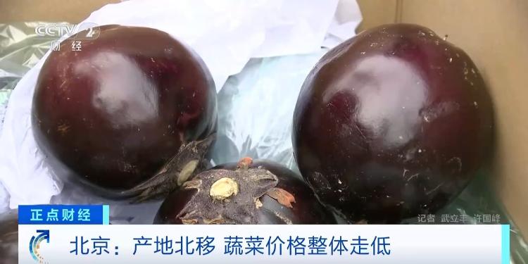 黄瓜的产地和价钱_北京蔬菜价格下降_山东豆角新发地