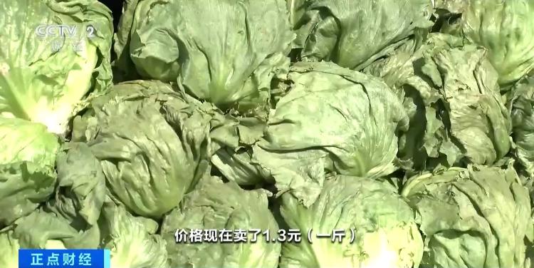 黄瓜的产地和价钱_山东豆角新发地_北京蔬菜价格下降