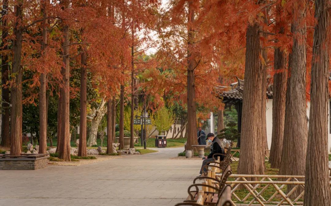 叫板扬州,这座新晋“世界美食之都”太好吃(图46) 淮安世界美食之都_功夫豫菜_淮扬菜特色美食
