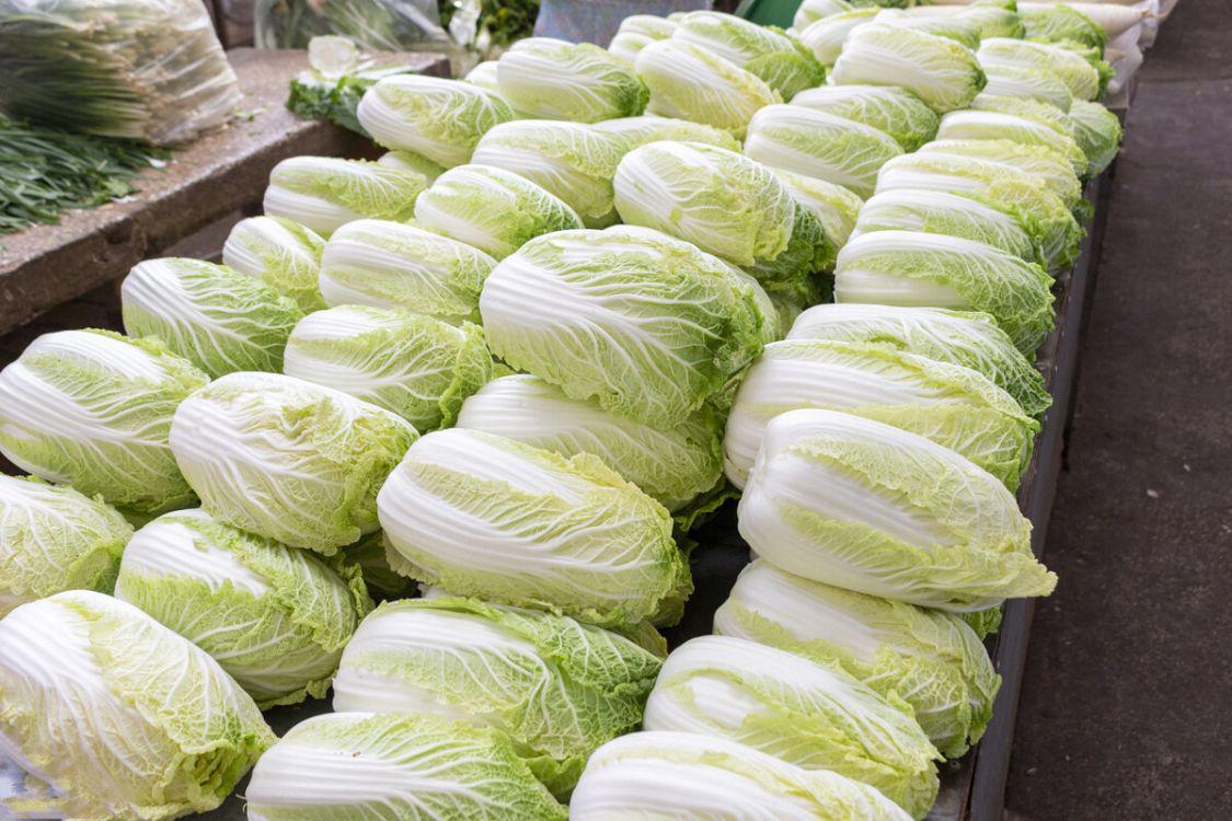 冬天,需要囤的“6大蔬菜”排行,萝卜排第2,家里有菜心中不慌(图2) 北方冬天囤菜蔬菜排行_冬季耐储存蔬菜推荐_素菜炖菜大全