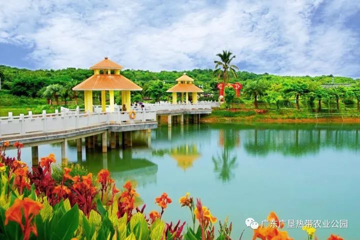 茂名文化体验旅游攻略_茂名澳内海海鲜几点有_茂名滨海旅游线路