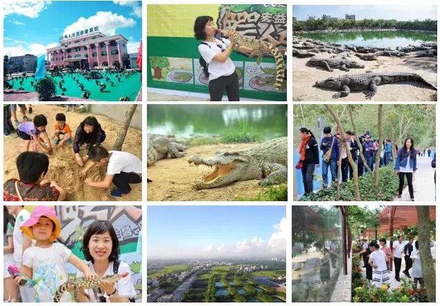 茂名澳内海海鲜几点有_茂名滨海旅游线路_茂名文化体验旅游攻略