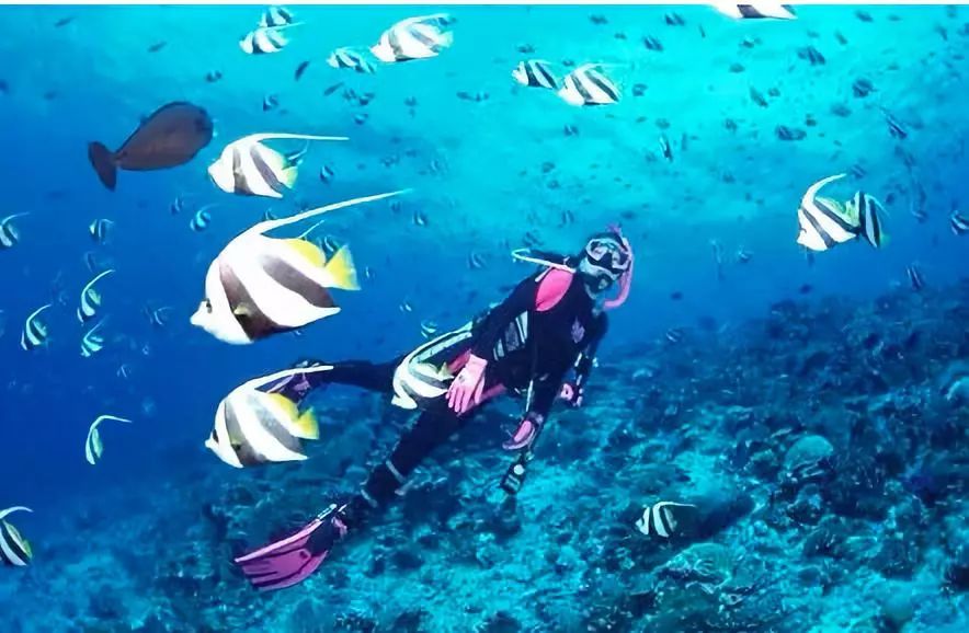 茂名澳内海海鲜几点有_茂名滨海旅游线路_茂名文化体验旅游攻略